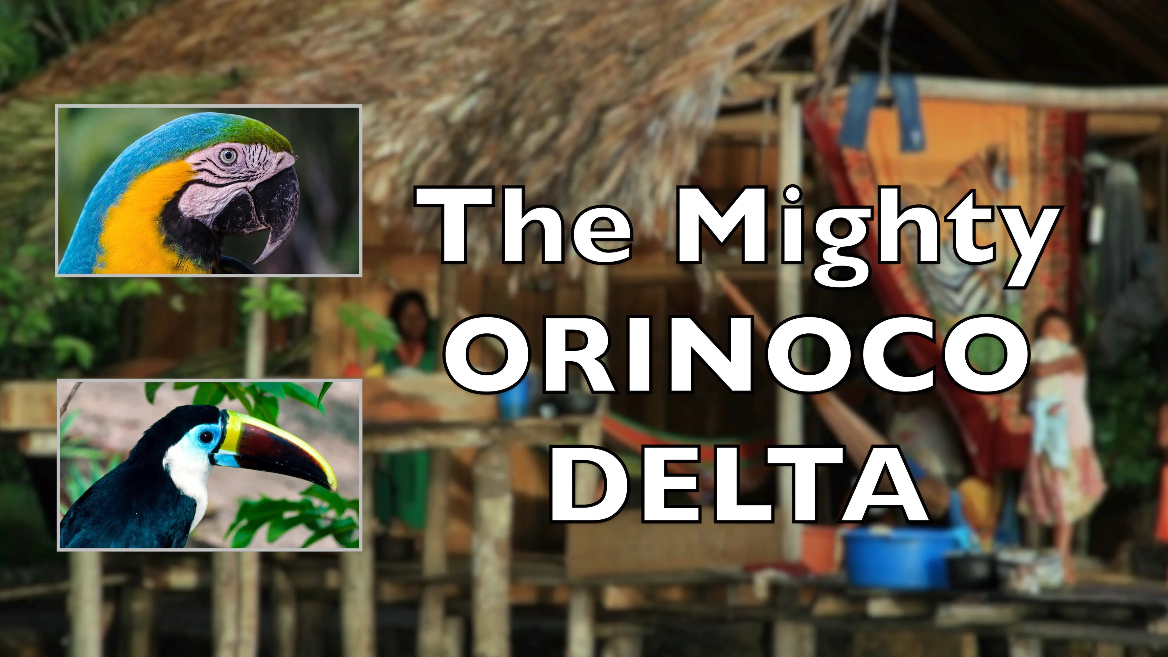 The Mighty Orinoco Delta poster